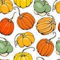 Hand drawn vector of  seamless pattern with pumpkins on white background. Royalty Free Stock Photo